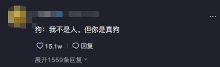 哈士奇智商排行第几（哈士奇智商排名前十名）