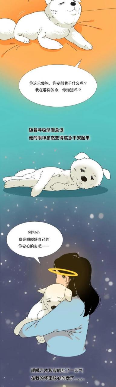 给狗狗安乐死是造孽吗（对狗狗安乐死有罪孽吗）