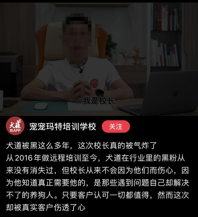 打狗越打越凶（我家狗越打越凶）