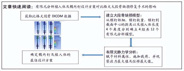 米格鲁猎兔犬价格（米格鲁猎兔犬图片）