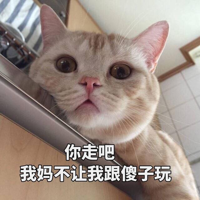 猫咪能吃土豆么（猫猫能吃土豆嘛）