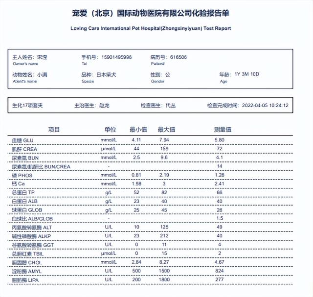 狗摔了一下腿瘸了会自己愈吗（小狗腿摔瘸了多久能恢复）