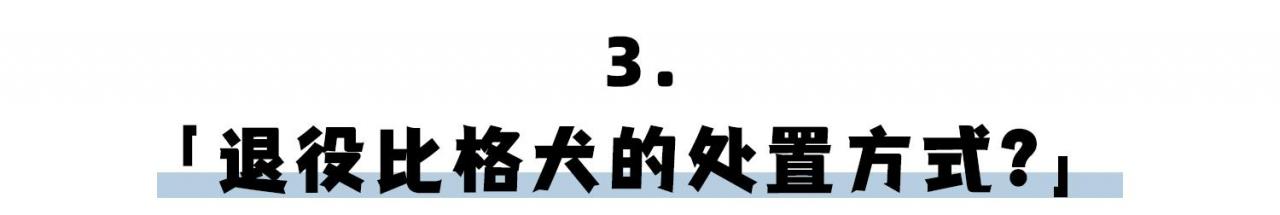 比格犬作为实验动物的优点（实验 比格犬）