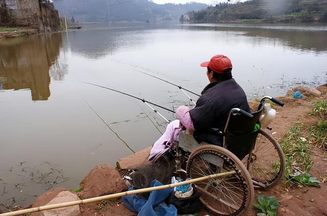 养殖水貂是保护动物吗（养殖水貂属于野生动物吗）