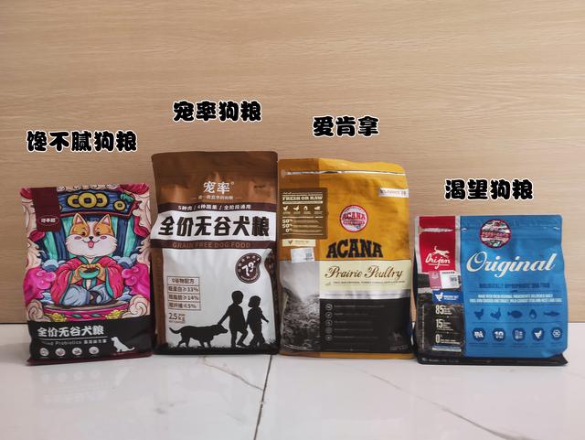 比熊耳朵里毛发黄怎么办（比熊的毛发黄怎么办）