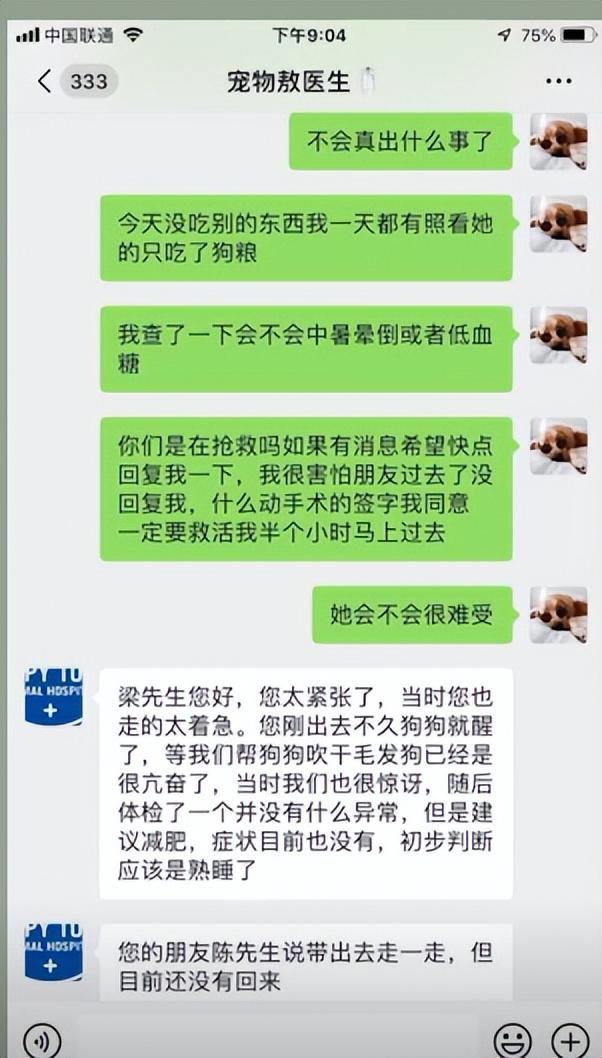 狗可以吃红心火龙果吗（狗为什么不能吃红心火龙果）