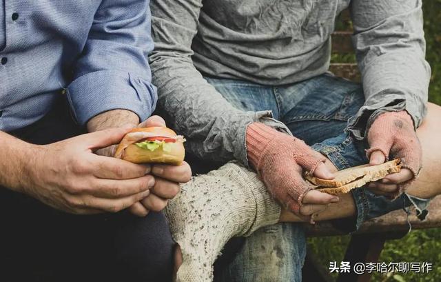 老虎狗七彩神仙鱼图片（老虎狗七彩神仙鱼什么特征）