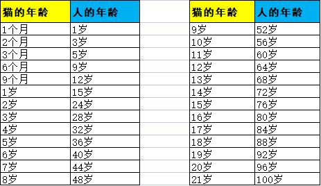 猫的5岁相当于人的多少岁（猫的五岁相当人几岁）