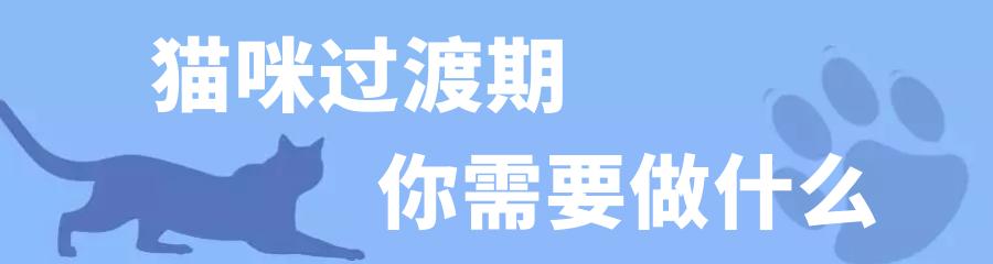 捡到还没睁眼的小猫怎么养（捡到一只眼睛还没睁开的猫,怎么养活）