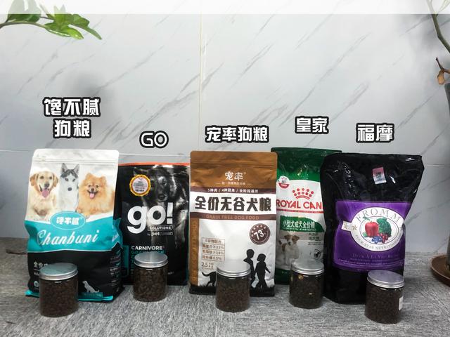 比熊发脾气的表现（比熊生气的时候什么样子）