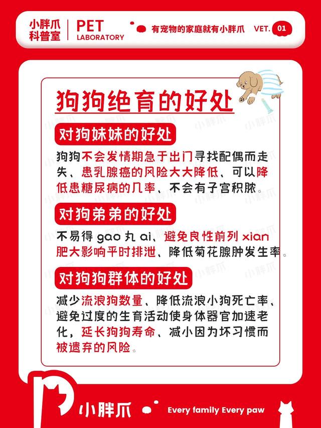 母狗做绝育手术大概多少钱5公斤（一般母狗做绝育手术多少钱）