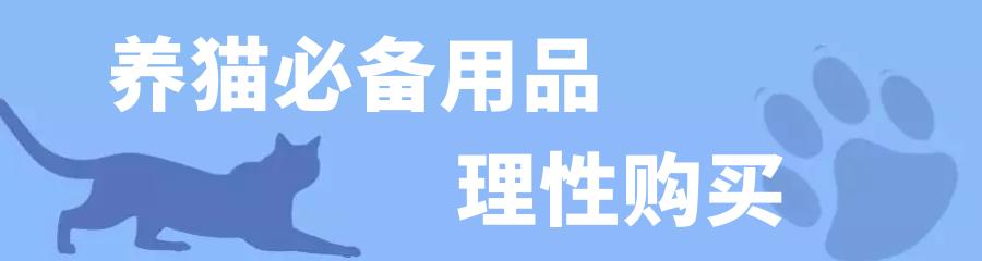 捡到还没睁眼的小猫怎么养（捡到一只眼睛还没睁开的猫,怎么养活）