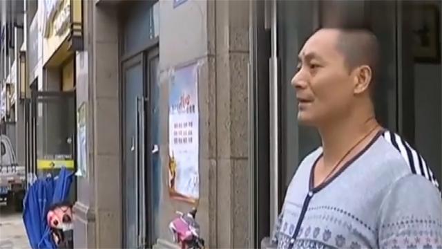 比熊的价格大概是多少钱一只（小型比熊犬价格多少钱一只）