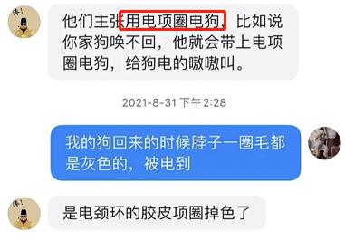 打狗越打越凶（我家狗越打越凶）