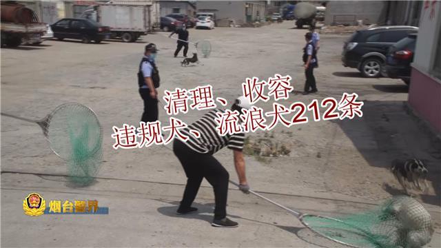 021年养狗需要办证吗（农村养狗需要办什么证）"