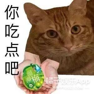 柯基几个月开始脸变宽（柯基犬几个月脸变好看）