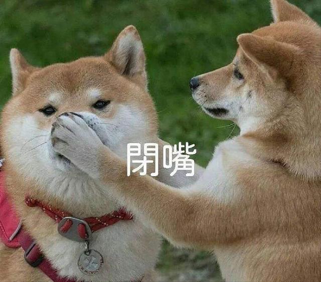 2种名犬图片（名犬品种大全图片名字）"