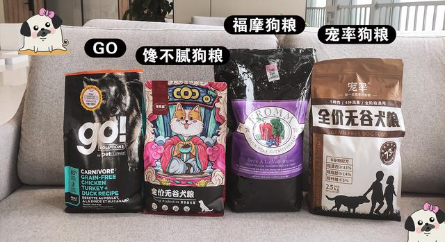 不掉毛的狗狗品种排行（不掉毛的狗狗品种小型犬）