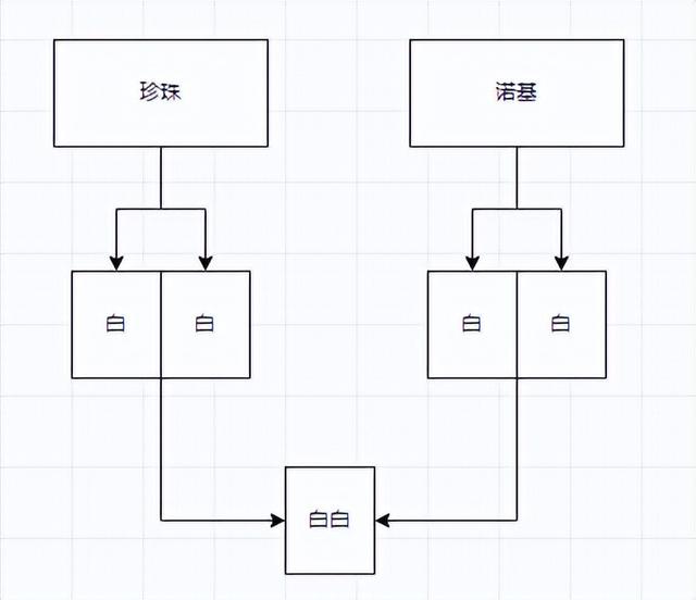 纯白色的狗是什么品种图片（宠物狗狗品种图片大全 白色）