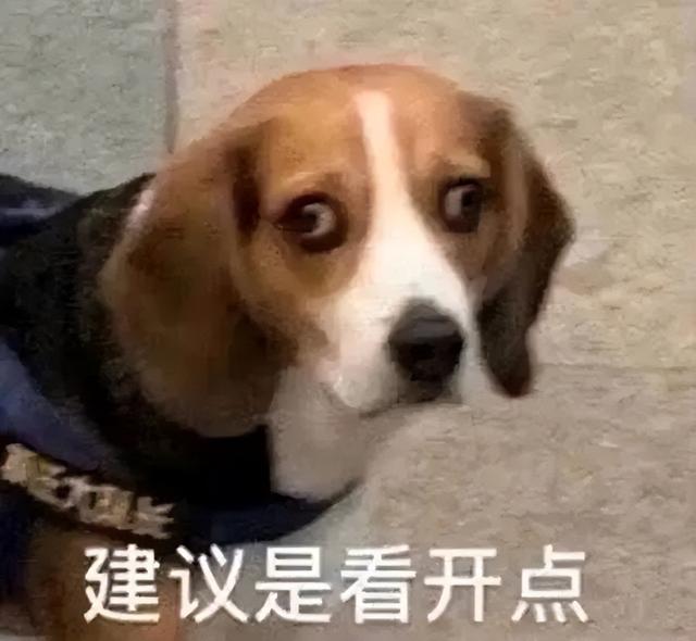 比格犬图片 纯种 黑色（比格犬图片 纯种价值多少一只）