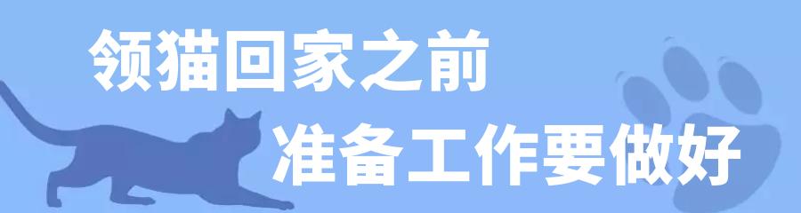 捡到还没睁眼的小猫怎么养（捡到一只眼睛还没睁开的猫,怎么养活）