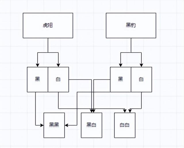 纯白色的狗是什么品种图片（宠物狗狗品种图片大全 白色）