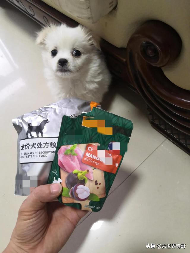 幼犬得细小五天症状（狗狗得了细小五天了看着有好转了能恢复吗）