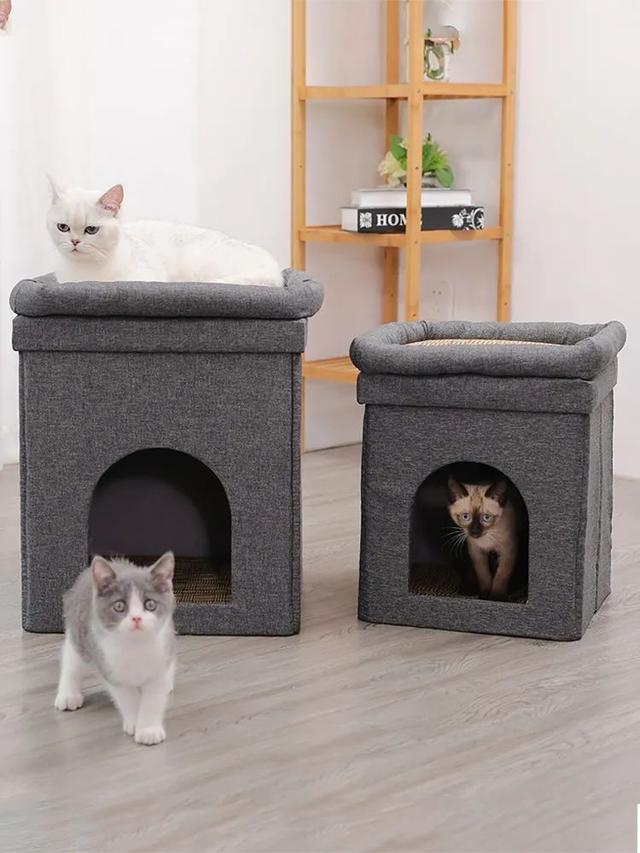 猫咪会挠家具吗（用了猫抓板小猫还抓家具嘛）