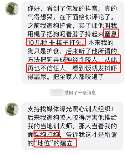 打狗越打越凶（我家狗越打越凶）