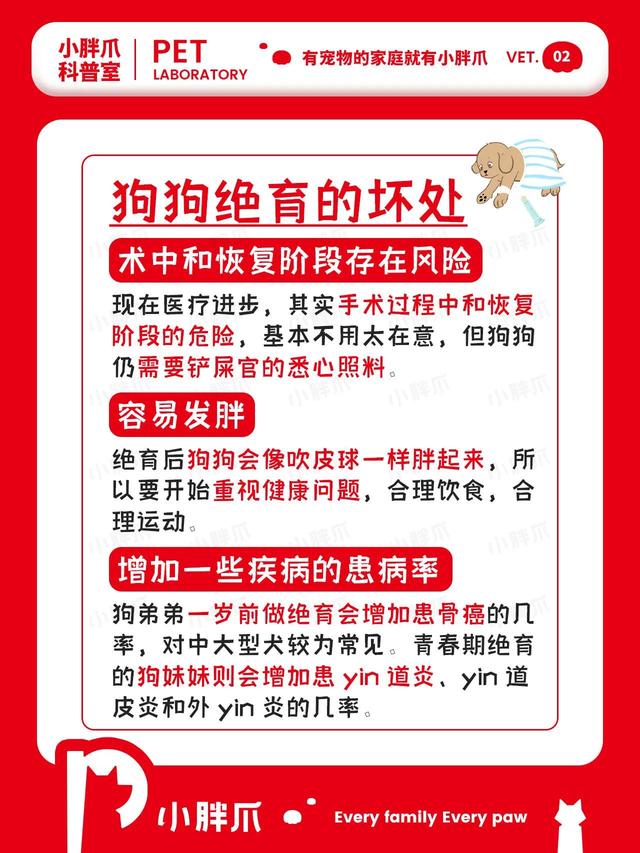 母狗做绝育手术大概多少钱5公斤（一般母狗做绝育手术多少钱）