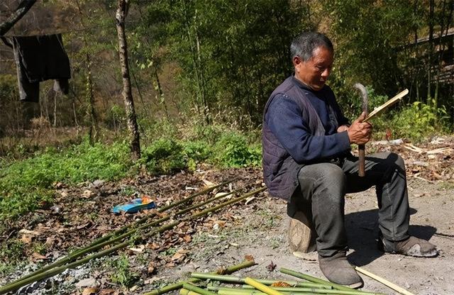 狗喝一点点酒会不会死（狗狗喝了一点白酒会死吗）