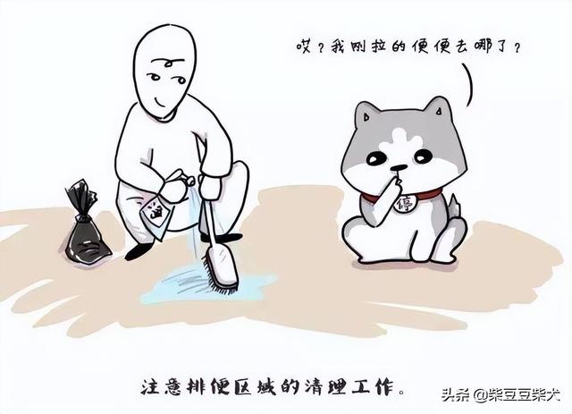 为什么狗会吃屎呢知乎（狗吃屎 知乎）