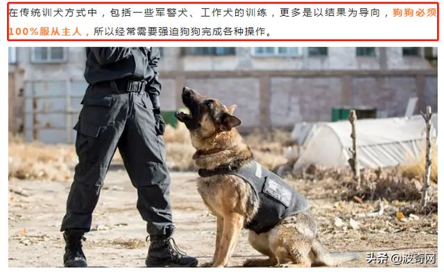 哈士奇犬多少钱一只幼崽（哈士奇犬和阿拉斯加犬）