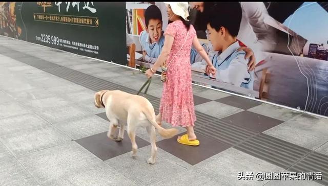 女孩和狗的图片 头像（女生和狗狗的头像图片）