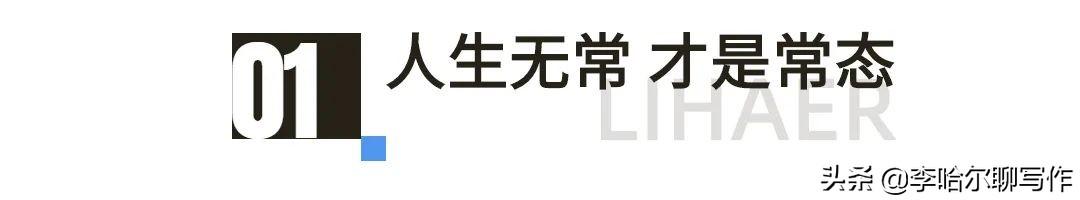 老虎狗七彩神仙鱼图片（老虎狗七彩神仙鱼什么特征）