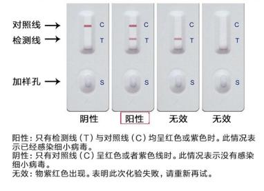 狗狗吐白色粘液是什么原因（狗狗总吐白色粘液）