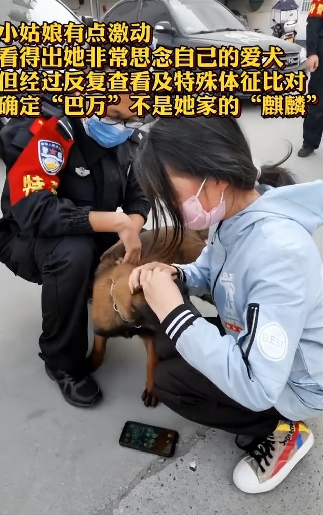 两个月马犬多少钱（一个月小马犬一般多少钱）