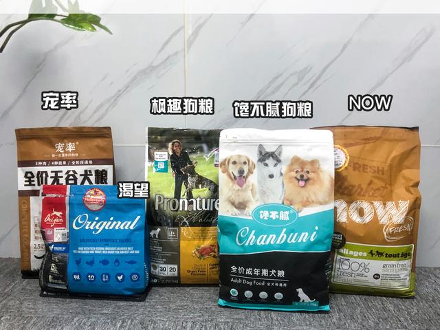 纯种马尔济斯犬多少钱（马尔济斯犬什么价格）