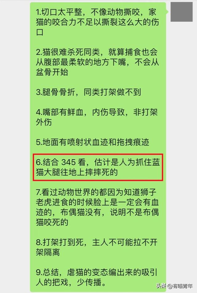 布偶猫吐血怎么回事（猫吐血怎么回事吃什么药）