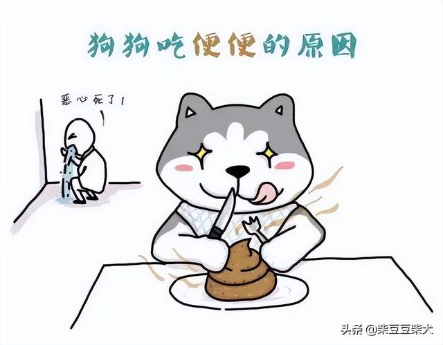 为什么狗会吃屎呢知乎（狗吃屎 知乎）