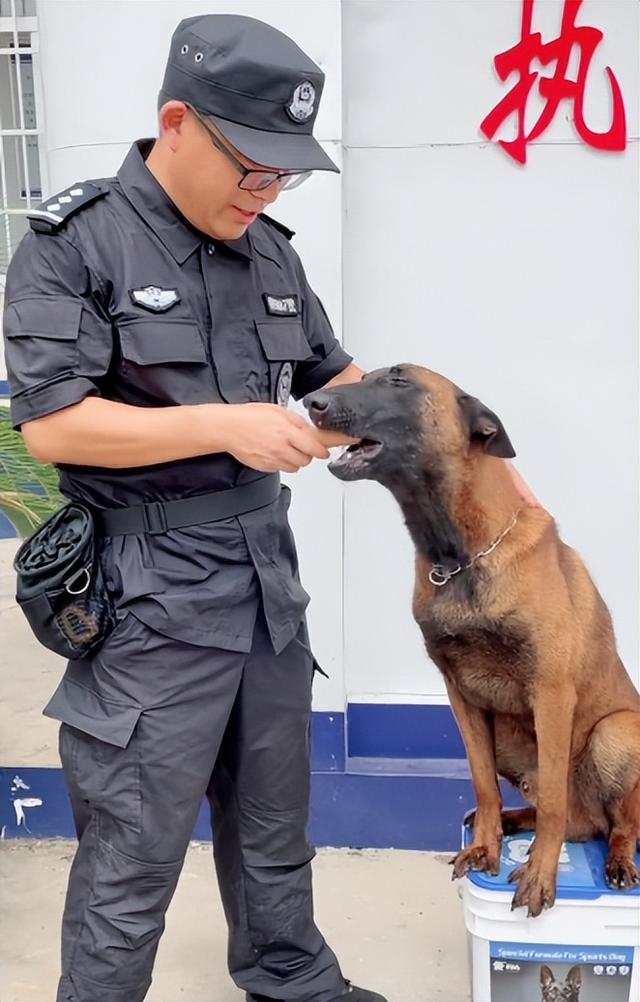 两个月马犬多少钱（一个月小马犬一般多少钱）