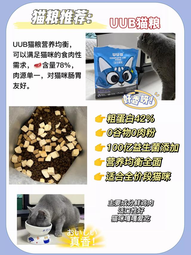 小猫几周可以加辅食了啊（小猫几周可以加辅食了嘛）