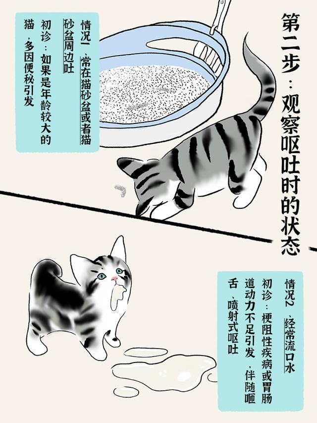 猫咪吐黄水是怎么回事？猫咪吐黄水是怎么回事 黄水带泡沫！