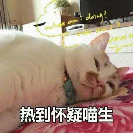 猫咪睡觉流口水很臭正常吗（猫睡觉流口水还有点臭）