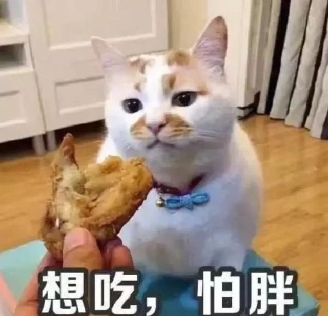 猫吃老鼠会不会携带病毒会传染人吗（猫吃老鼠会不会携带病毒抓破人）