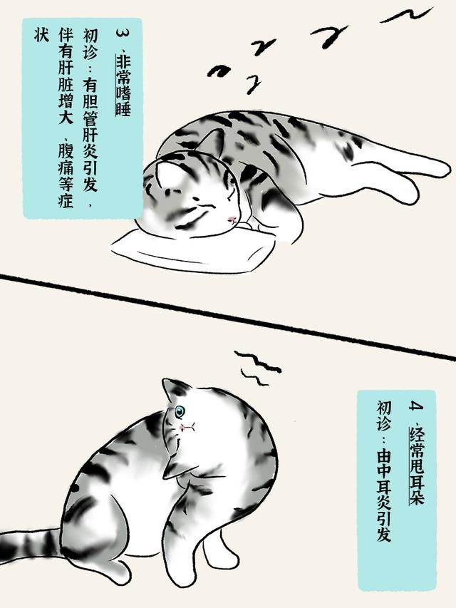 猫咪吐黄水是怎么回事？猫咪吐黄水是怎么回事 黄水带泡沫！