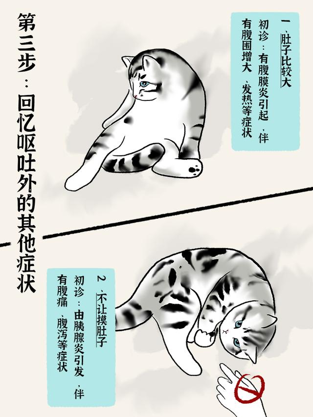 猫咪吐黄水是怎么回事？猫咪吐黄水是怎么回事 黄水带泡沫！