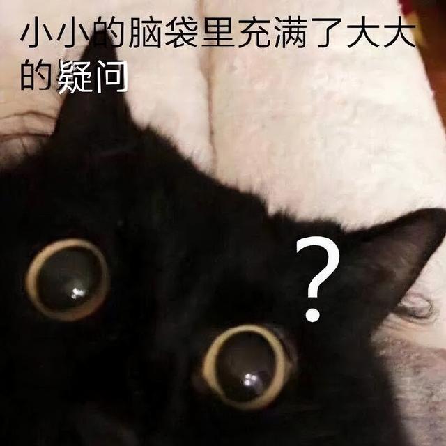 猫吃老鼠会不会携带病毒会传染人吗（猫吃老鼠会不会携带病毒抓破人）