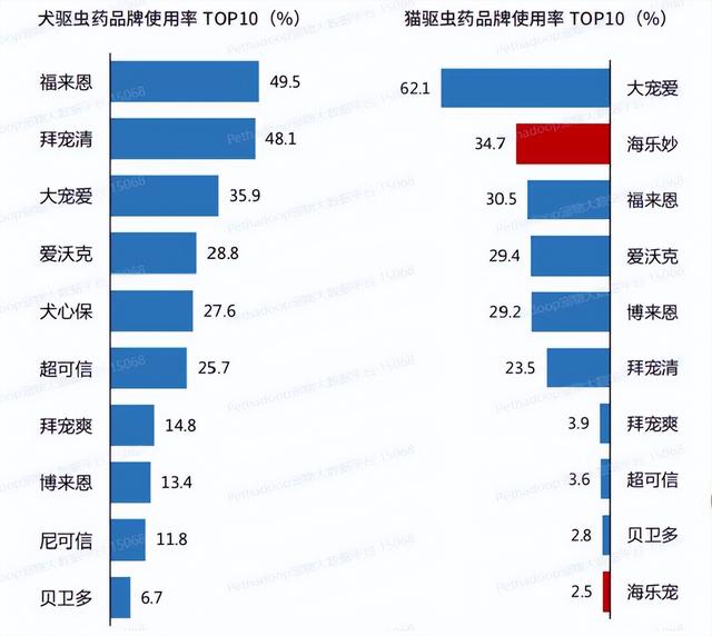 狗市场在哪里_（附近的狗市场在哪里）