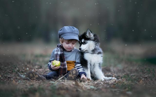 罗威纳犬幼犬多少钱一只（罗威纳犬成年犬多少钱一只）